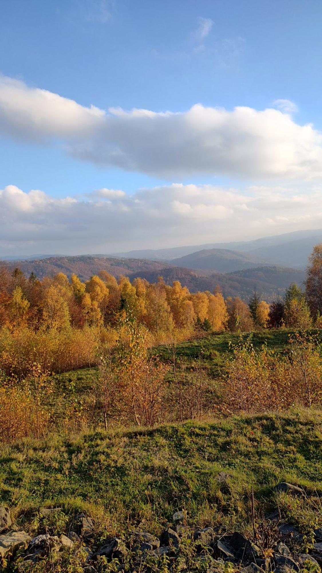 Dog Friendly Dom, Apartamenty Wichrowe Wzgorza Z Basenem Brenna ウストロン エクステリア 写真